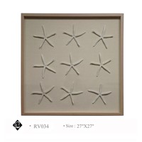 Framed 9 Piece Sea Star