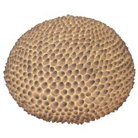 Cone Shell Ball Lamp