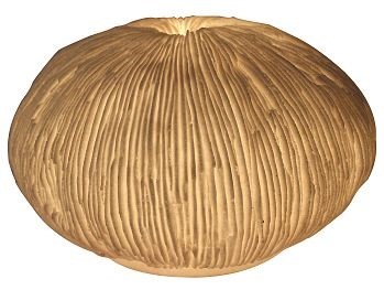 Ribbed Ball Lamp