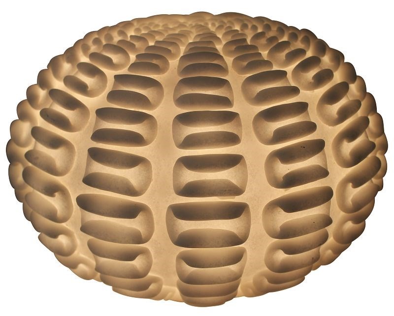 Lined Shell Ball